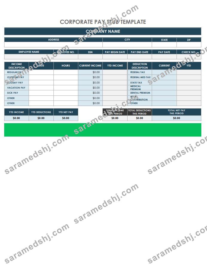 Corporate Pay Stub Template